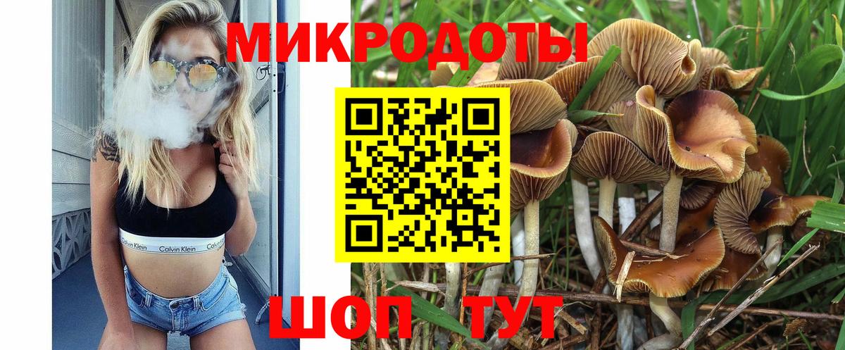 Галлюциногенные грибы мицелий  Галлюциногенные грибы Psilocybe  Назарово  Вход с VPN 